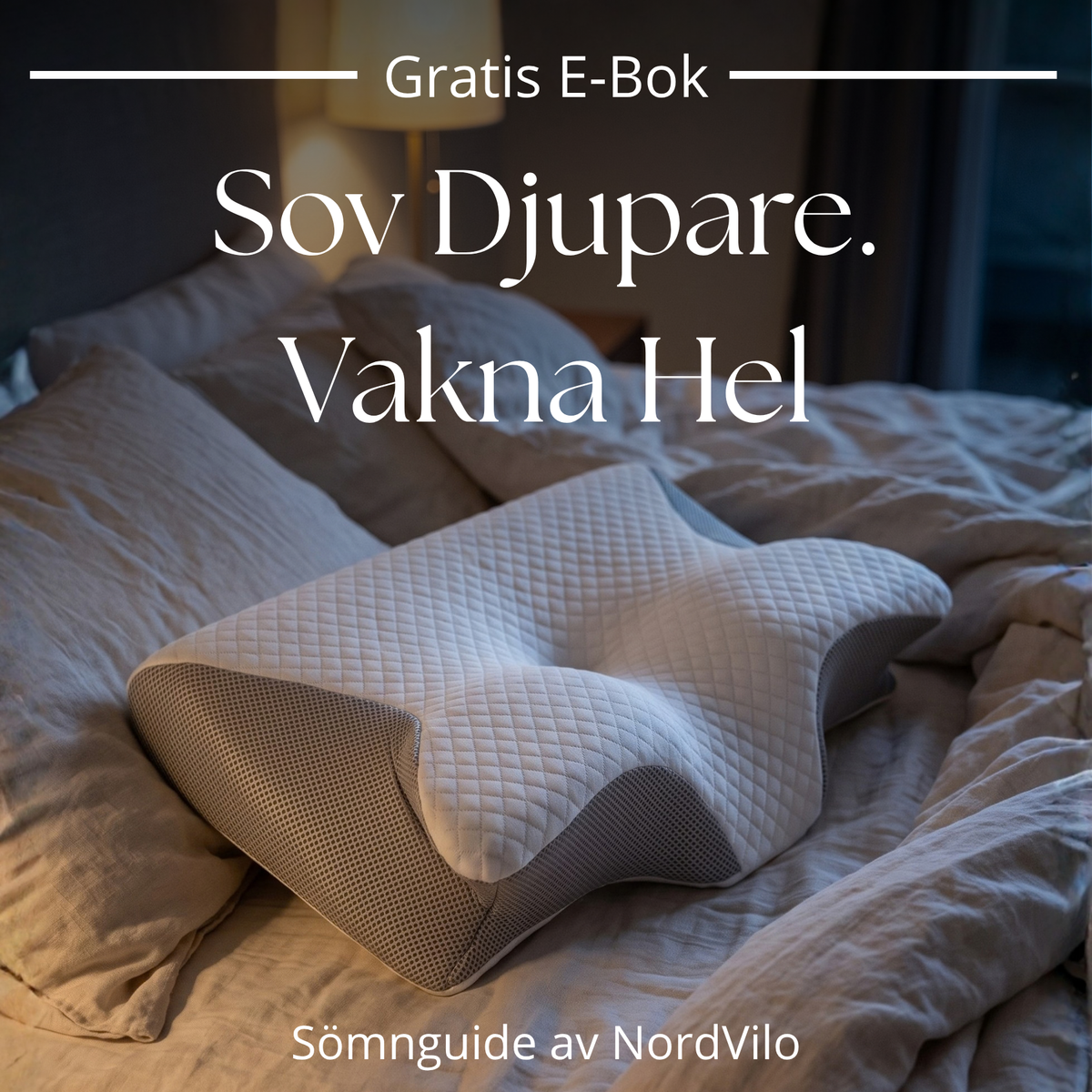 Sömnguide