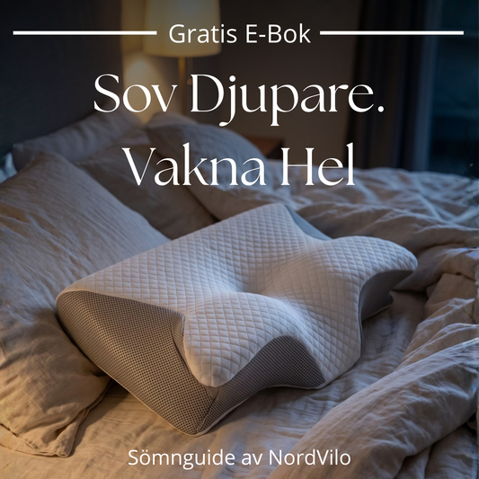 Sömnguide